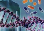analise-de-dna-maranguape-1377266199