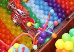 animacao-de-festa-maranguape-1377201432