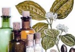 farmacias-de-homeopatia-maranguape-1377276572