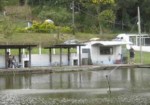 pesqueiros-maranguape-1377130323