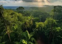 Maranguape CE x Floresta