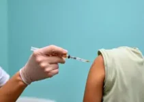 vacinação contra chikungunya