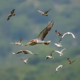 garotos e garotas das escolas públicas