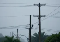 alerta amarelo de chuvas intensas