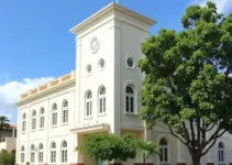 reforma da creche