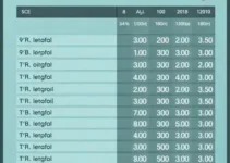 Maranguape (CE) votação 1º turno 2026